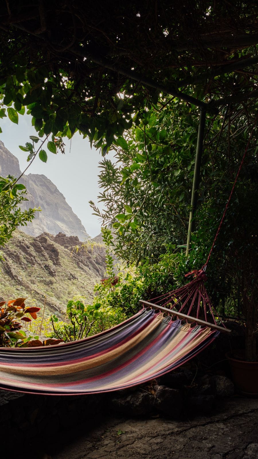 Regenerative finca and developing food forest at Ancient Soul Retreats